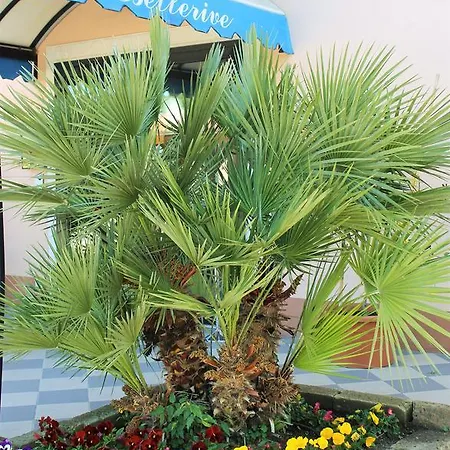 Bellerive Ristorante 2*