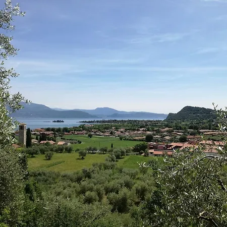 Bellerive Ristorante